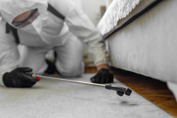 Professional Bed Bug Control technician working in North Tonawanda, NY